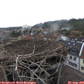 15_45-nest.jpg
