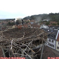 15_55-nest.jpg