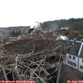 16_10-nest.jpg