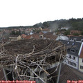 16_55-nest.jpg