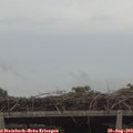 17_00-mast.jpg