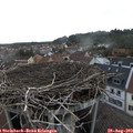 17_10-nest.jpg