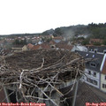17_20-nest.jpg