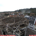 17_25-nest.jpg