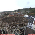 17_45-nest.jpg