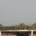 17_50-mast.jpg