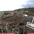 17_55-nest.jpg