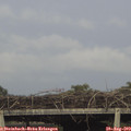 18_00-mast.jpg