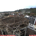 18_00-nest.jpg