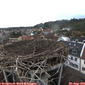 18_05-nest.jpg