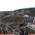 18_10-nest.jpg
