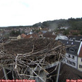 18_15-nest.jpg