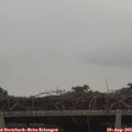 18_20-mast.jpg