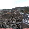 18_25-nest.jpg