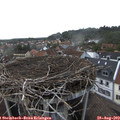 18_40-nest.jpg
