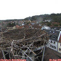 18_45-nest.jpg