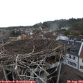 18_50-nest.jpg