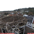 18_55-nest.jpg