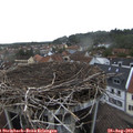 19_00-nest.jpg