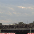 19_05-mast.jpg