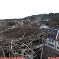 19_05-nest.jpg