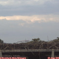 19_15-mast.jpg