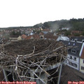 19_25-nest.jpg