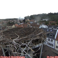 19_30-nest.jpg