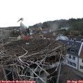 19_40-nest.jpg