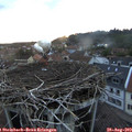 20_00-nest.jpg