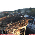 06_45-nest.jpg