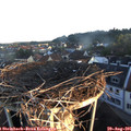 06_50-nest.jpg