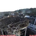 06_55-nest.jpg