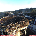 07_00-nest.jpg