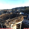 07_05-nest.jpg