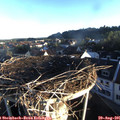 07_10-nest.jpg