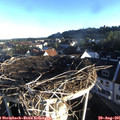 07_25-nest.jpg