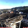 07_30-nest.jpg