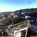 07_35-nest.jpg