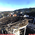 07_40-nest.jpg