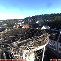 07_45-nest.jpg