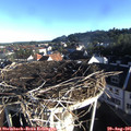 07_50-nest.jpg
