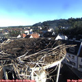 07_55-nest.jpg