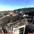 08_10-nest.jpg