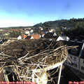 08_15-nest.jpg