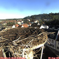 08_20-nest.jpg