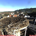 08_25-nest.jpg