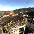 08_30-nest.jpg