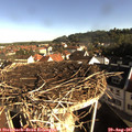 08_40-nest.jpg