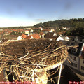09_05-nest.jpg